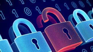 Vazamentos de Dados - Widgrid